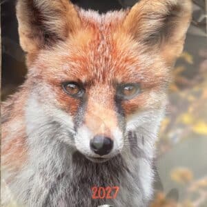 2027 Calendario