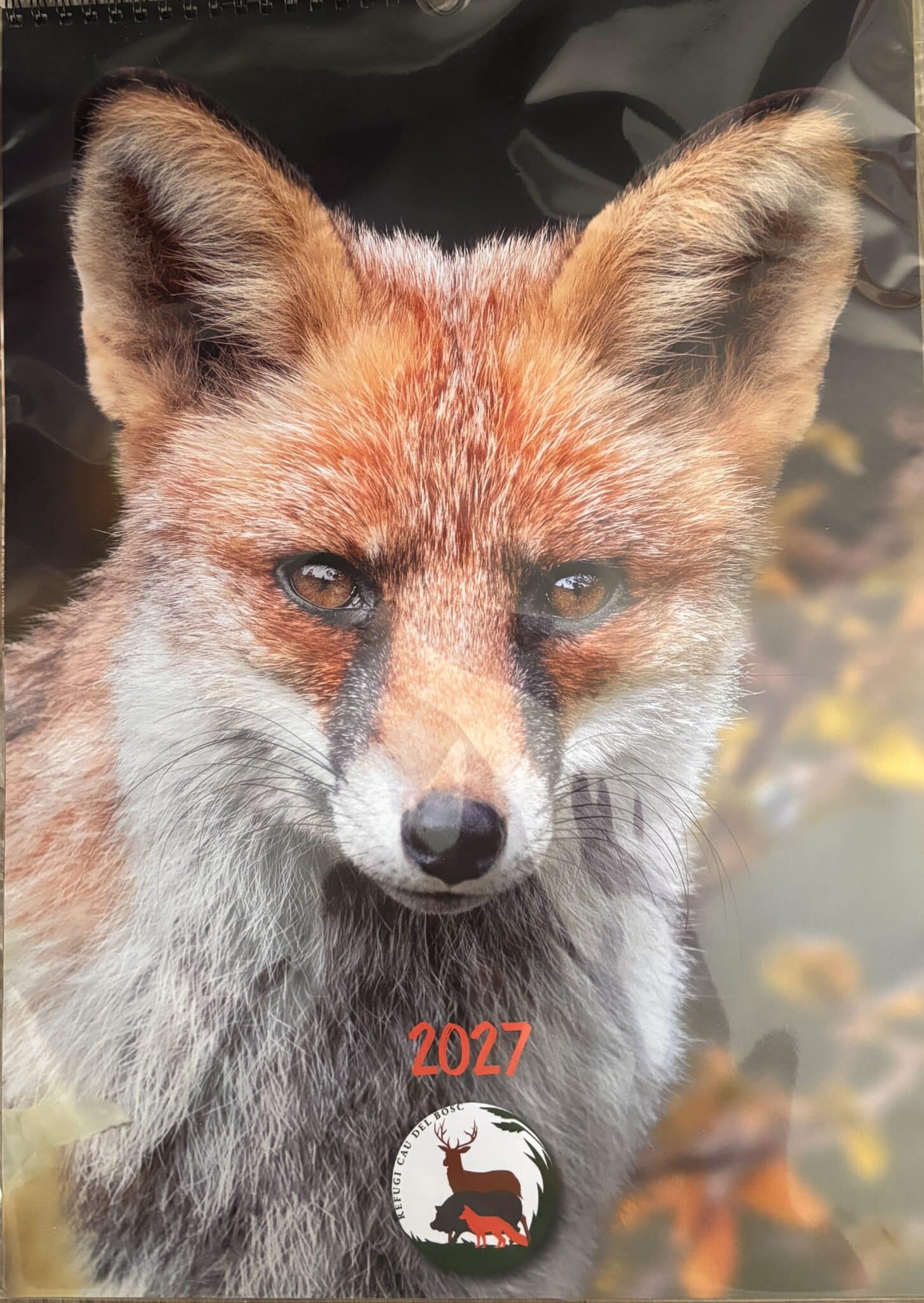 2027 Calendario
