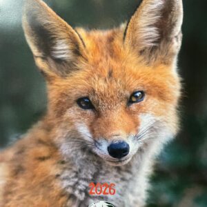2026 Calendario