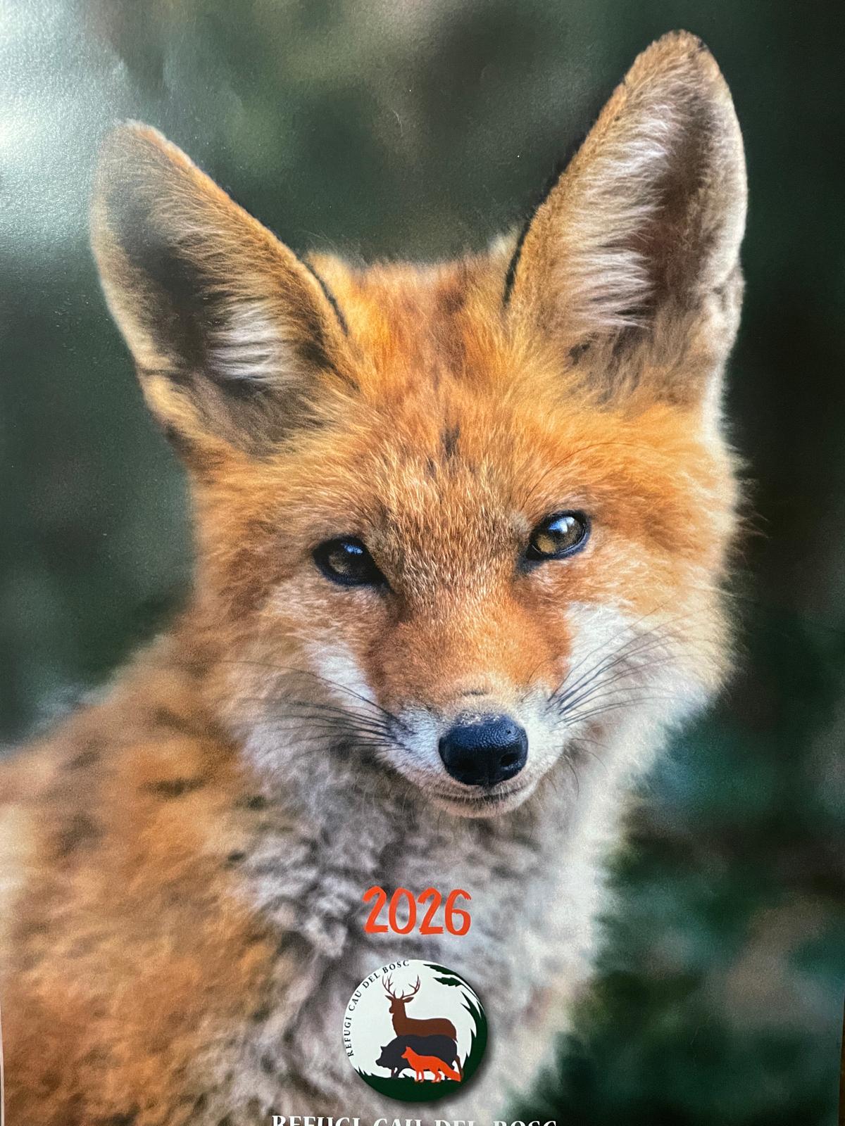 2026 Calendario